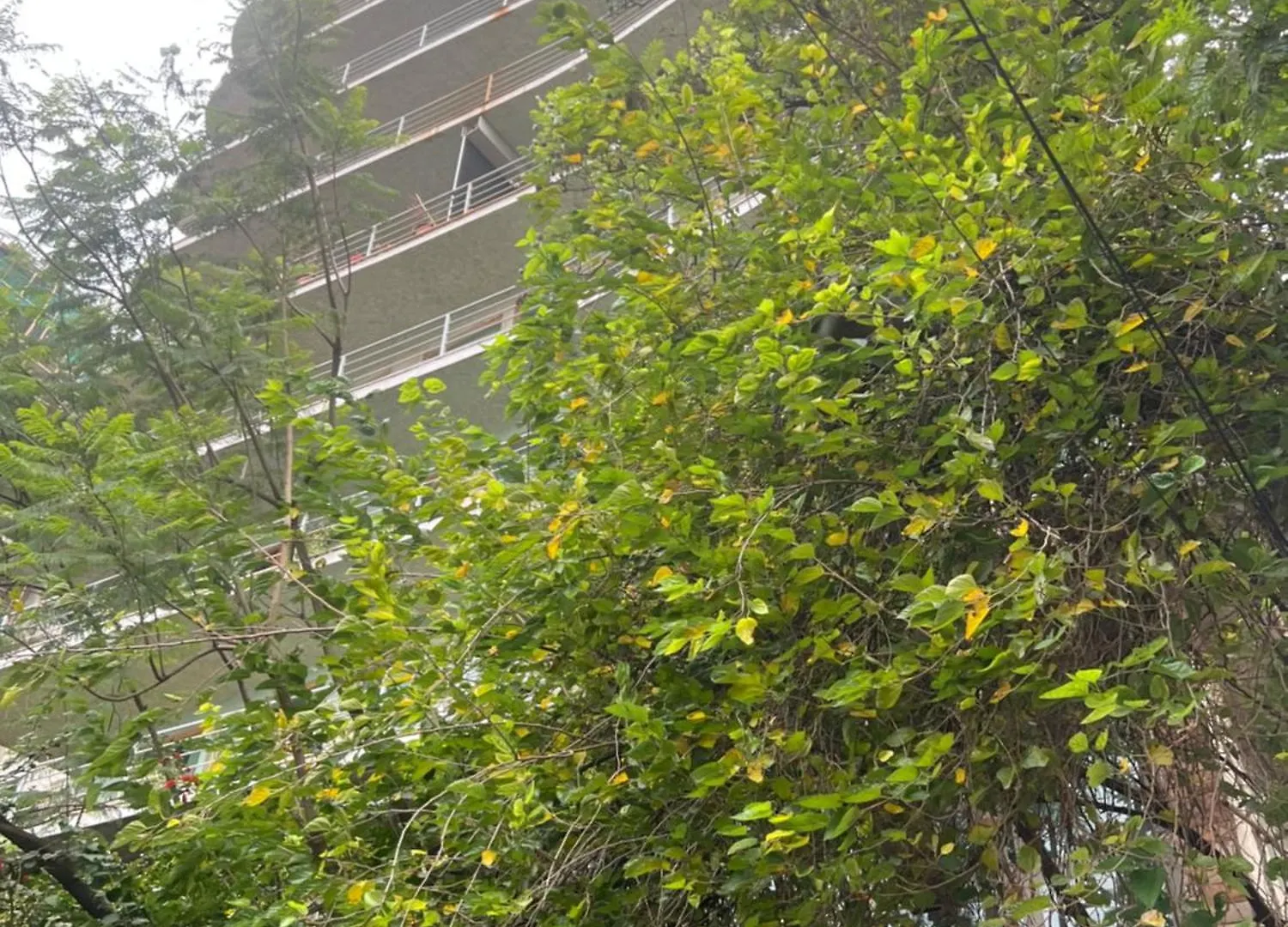 Abay Apartment Addis Ababa